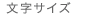 文字サイズ
